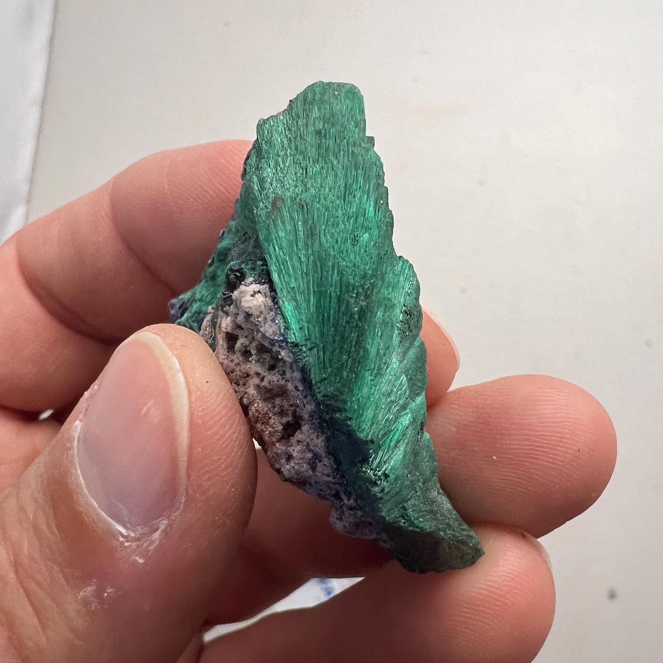 アズライトとマラカイトの共生(銅鉱石）ミルピラス鉱山（メキシコ） メキシコ産 アズライト | 鉱物標本,ア行,アズライト/藍銅鉱 | ほたるみ