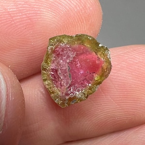 Polished Watermelon Tourmaline Cross Section