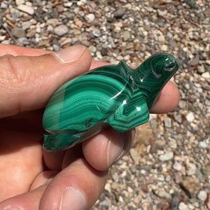 Talla de tortuga de malaquita