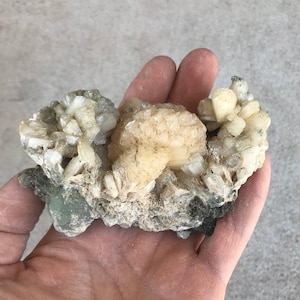 以下が含まれることがあります： 緑色の岩の基部を持つ、白とオフホワイトの結晶の塊。結晶は塊状に配置されており、いくつかは上向き、いくつかは下向きになっている。結晶は半透明で、わずかに虹色の光沢がある。