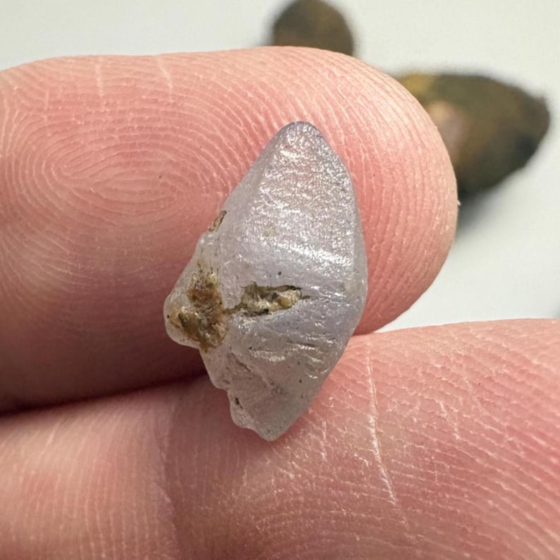 May include: A small, light purple gemstone with a rough, irregular shape. The stone has a slightly translucent quality and a few small, brown inclusions. The gem is held between two fingers, showcasing its natural, unpolished appearance.