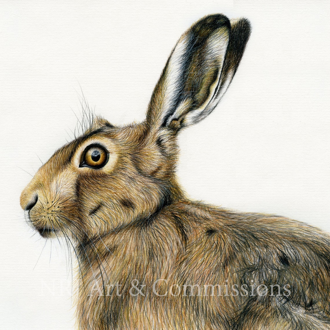 Brown Hare FINE ART PRINT Illustration British Wildlife Etsy