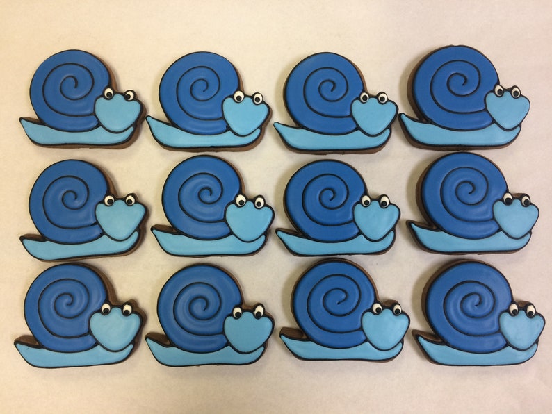 Snail Party Favors Cookies Snail Theme Cookie for Classroom Etsy