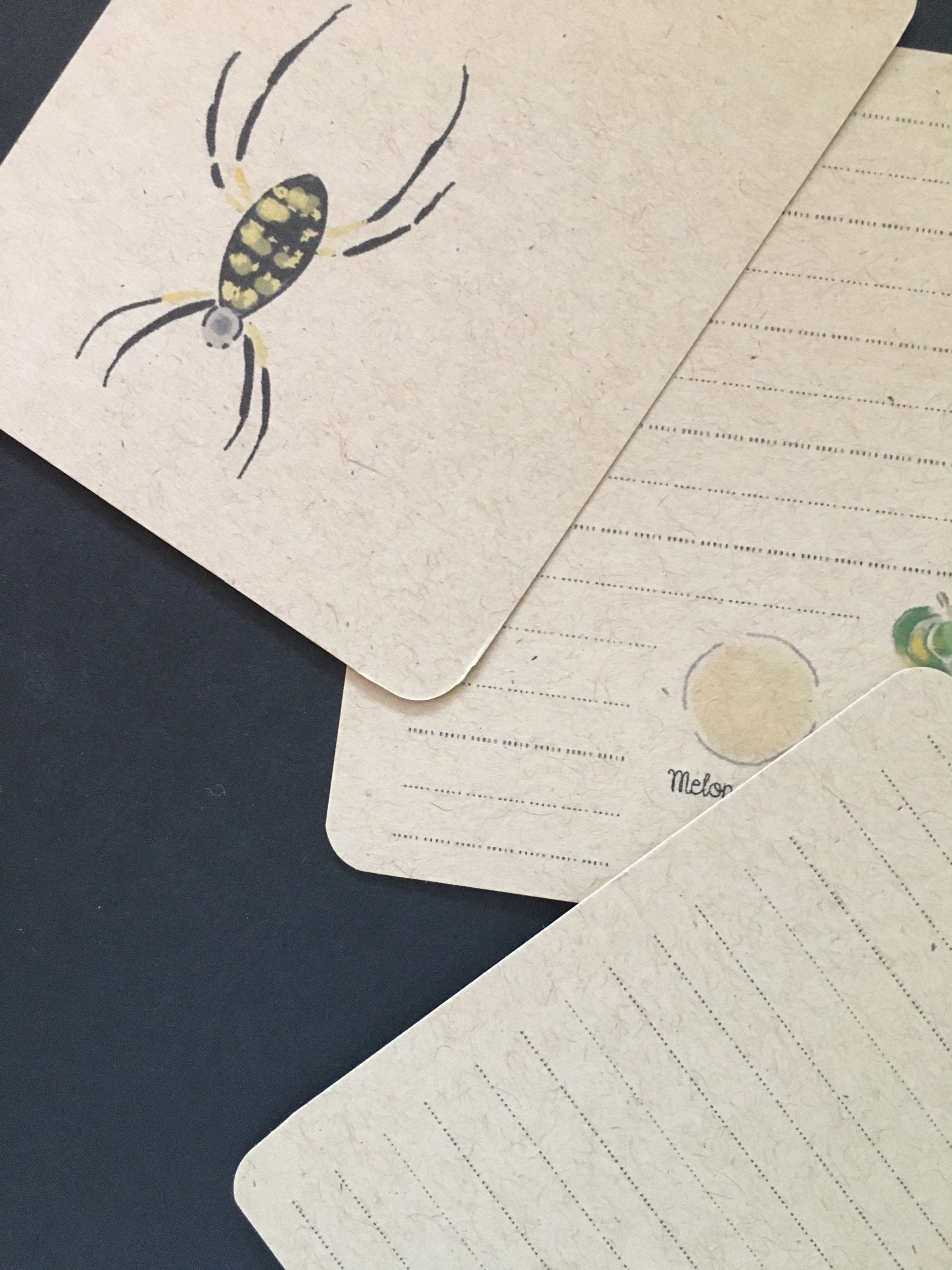 Tarjetas de diario de jardín hechas a mano ilustradas a | Etsy
