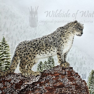 Snow Leopard in Mountains of India Original Watercolor Painting, 11&quot; x 14&quot;