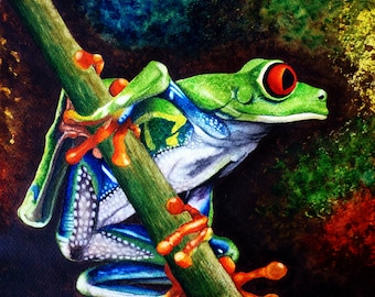 Print Red Eyed Tree Frog, Original Watercolor Painting, 8" x 10"