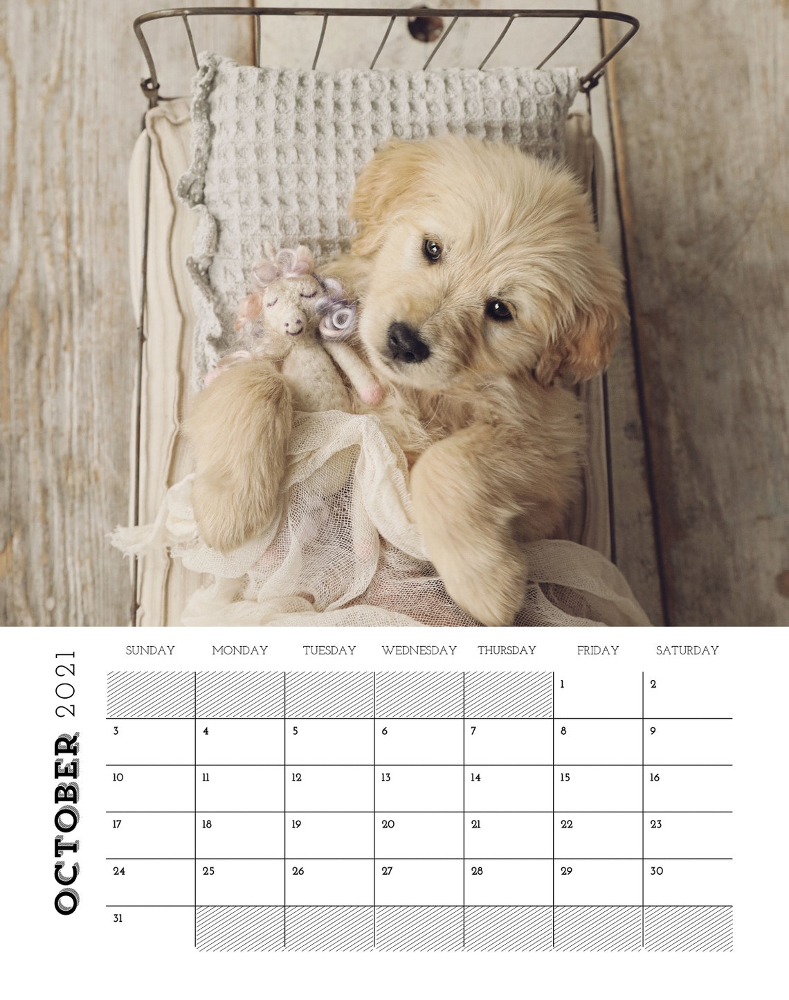 Puppy Calendar 2021 | Etsy