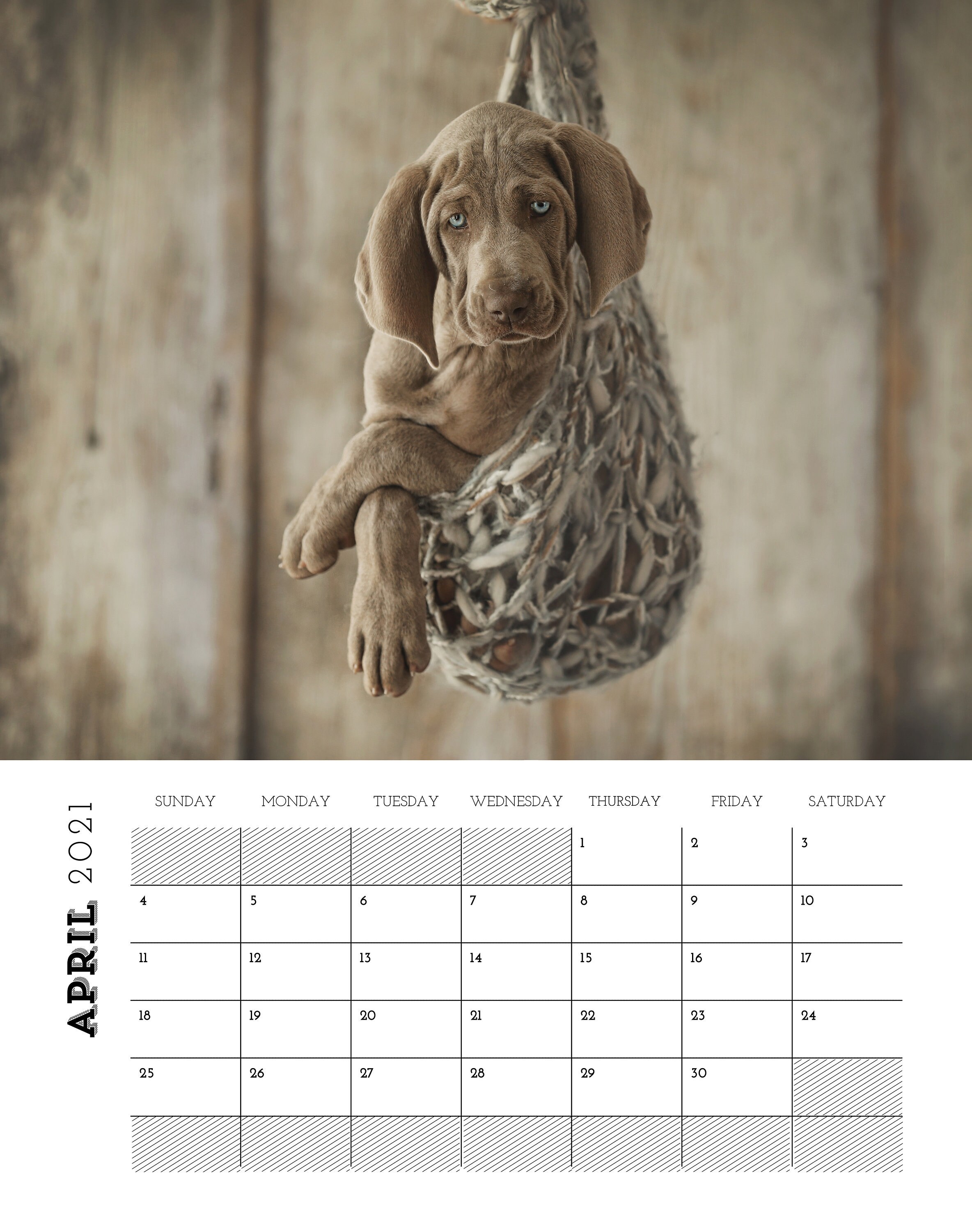 Puppy Calendar 2021 Etsy
