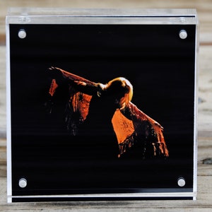 Stevie Nicks "Gold Dust Woman" Acrílico/Vidrio 4x4 Cuadrado Foto Original