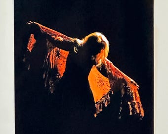 May include: A figure in silhouette against a dark background, wearing a garment with wide, flowing sleeves that feature intricate lace detailing and fringe trim. The fabric is illuminated in vibrant orange, highlighting the texture of the lace.
