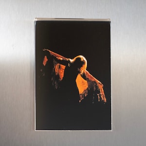 Stevie Nicks &quot;Gold Dust Woman&quot; Acrylic Plastic Magnet Original Photo