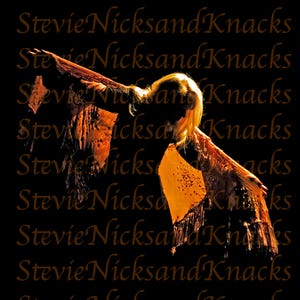 Impresiones fotográficas originales del concierto "Gold Dust Woman" de Stevie Nicks
