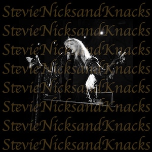 Stevie Nicks at Lake Tahoe ORIGINAL Concert Photo Prints