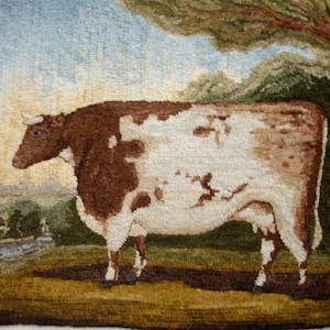 May include: A brown and white cow with a large white patch on its side stands in a field with a tree in the background. The cow is facing to the left and has a gentle expression.