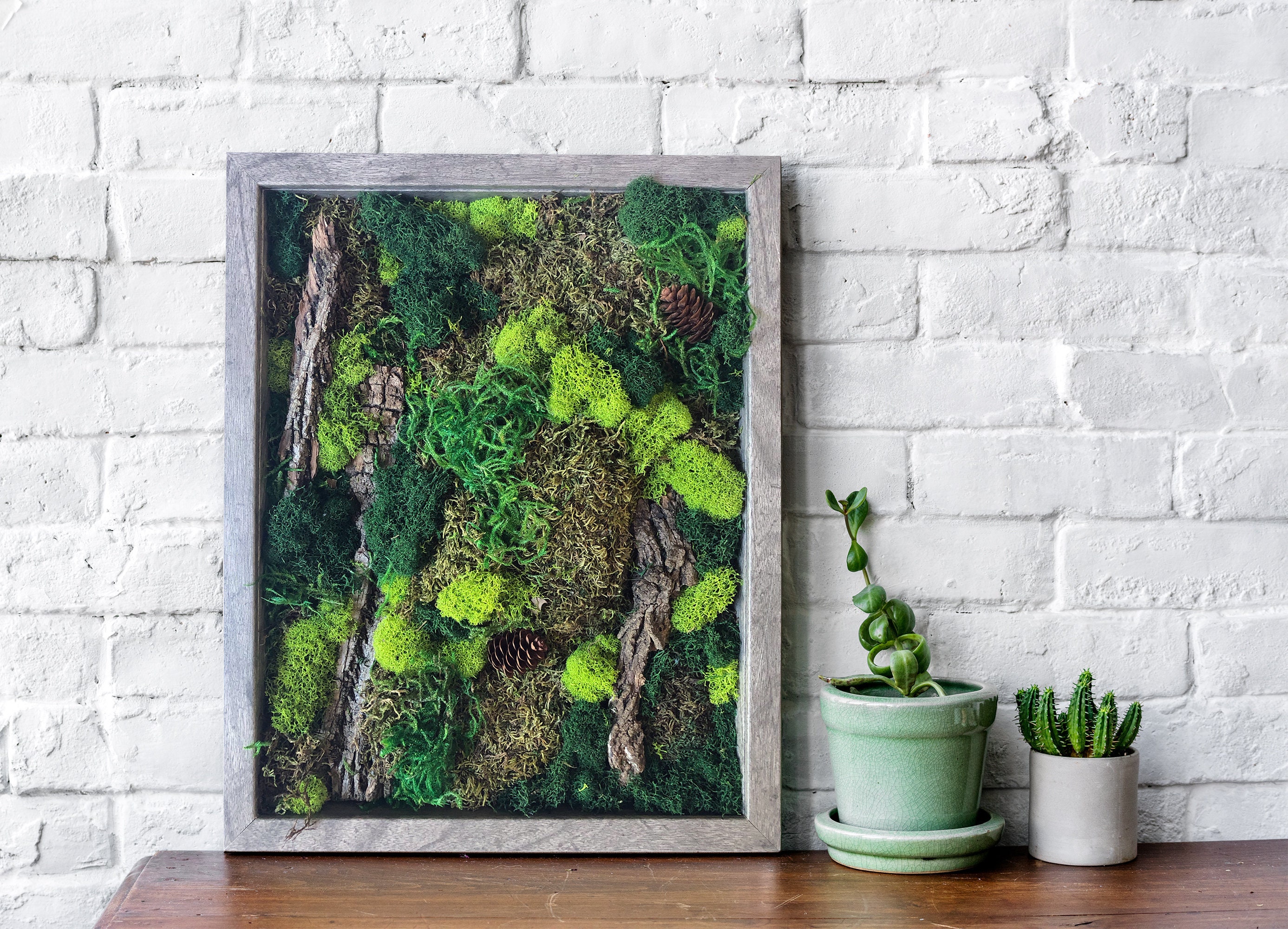 Moss Wall Art Wall Art 11x14 Home decor Preserved moss Etsy