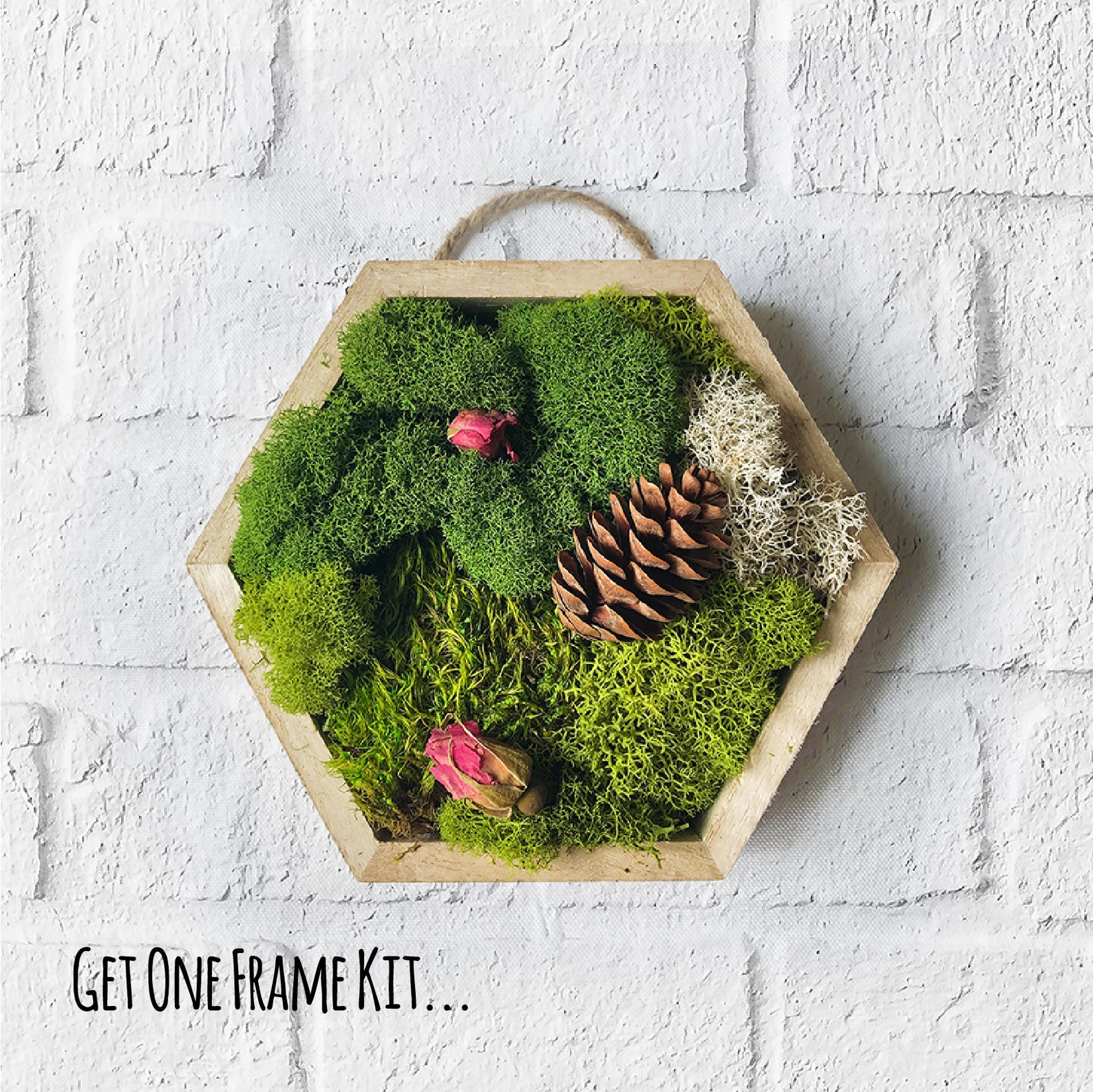 DIY Craft Kit Moss Art Craft 5x5 Hexagon Moss Home decor Etsy