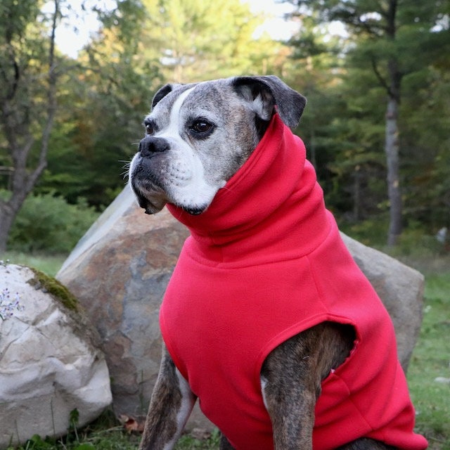 labradoodle fleece mini