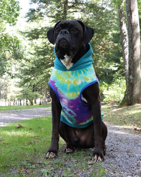tie dye dog hoodie