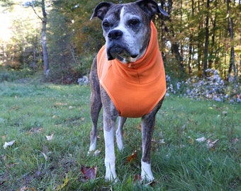 Hunting Dog Sweater - Etsy