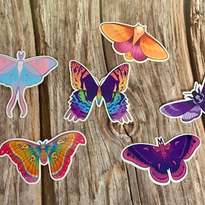 Stickers papillon de nuit