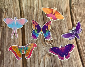 Pride Moth Stickers