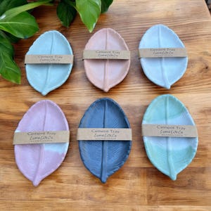 May include: Six leaf-shaped cement trays in various colours, including light blue, pink, light green, and dark blue. Each tray has the text "Cement Tray Lume Lite Co" printed on a label.