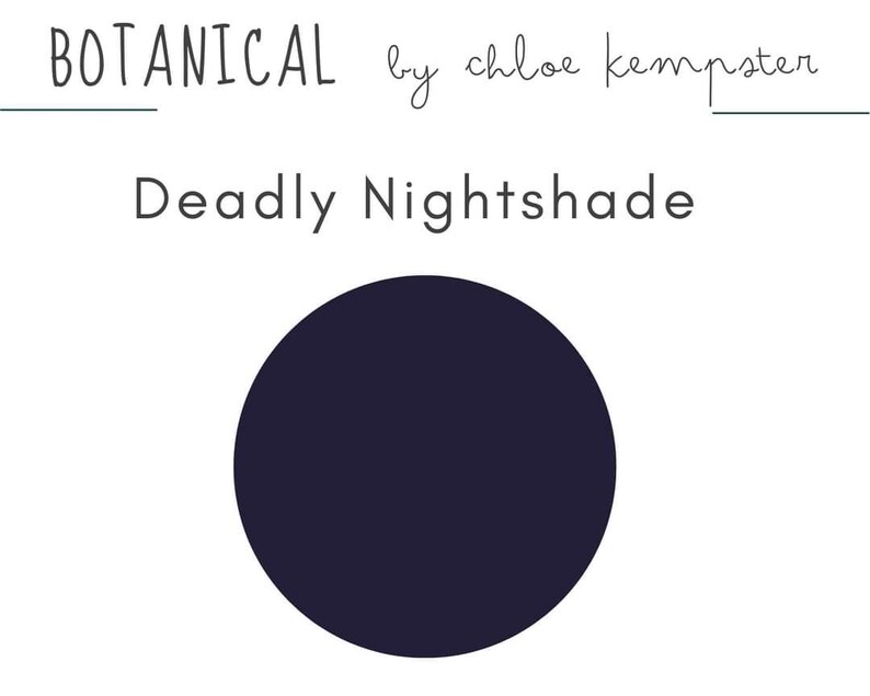 May include: A white background with the text "BOTANICAL by chloe kempster" and "Deadly Nightshade". A dark blue circle is centered below the text. The image is a botanical illustration.