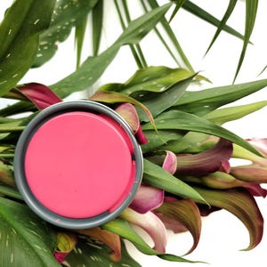 May include: A pink paint sample in a round container, surrounded by green leaves and purple flowers.
