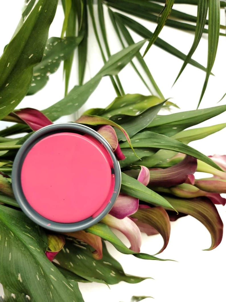 May include: A pink paint sample in a round container, surrounded by green leaves and purple flowers.