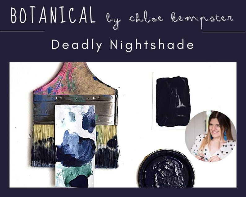 May include: An artistic composition featuring a paintbrush with colorful paint splatters, a palette with blue and green paint, and samples of dark blue paint. The text reads "BOTANICAL by chloe kempster" and "Deadly Nightshade".