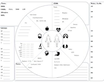 Nurse Report Sheet Pie Chart Night Shift-black and white