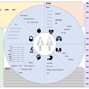 Verpleegkundig rapportblad Cirkeldiagram Nachtploeg-kleur