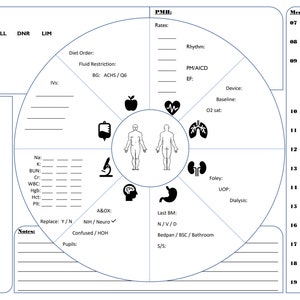 Verpleegkundig rapportblad Cirkeldiagram Dagdienst-zwart en wit