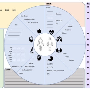 Verpleegkundig rapportblad Cirkeldiagram Dagploeg-kleur