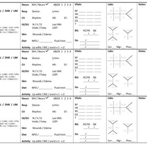 Trifold Nurse Report Sheet