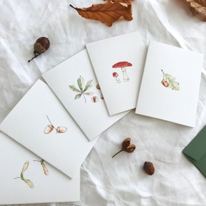 Autumn Seasonal Mini Greetings Card Set, with Botanical Woodland Illustrations. Waldorf steiner home school resources Autumn Fall image 2