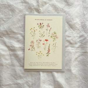 Botanical Watercolour Illustration Wildflower Identification Seasonal Luxury Greetings Card l Print l Summer image 3