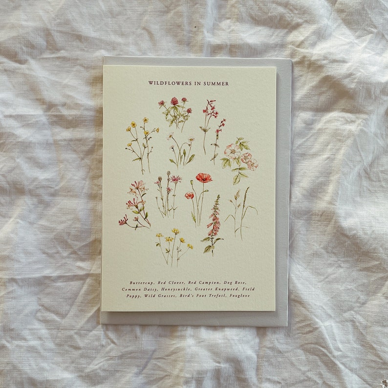 Botanical Watercolour Illustration Wildflower Identification Seasonal Luxury Greetings Card l Print l Summer image 2