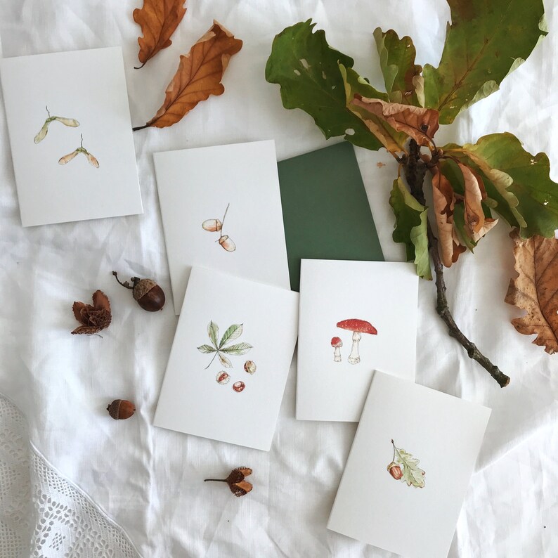 Autumn Seasonal Mini Greetings Card Set, with Botanical Woodland Illustrations. Waldorf steiner home school resources Autumn Fall image 3