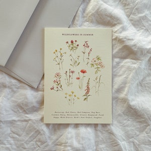 Botanical Watercolour Illustration Wildflower Identification Seasonal Luxury Greetings Card l Print l Summer image 1