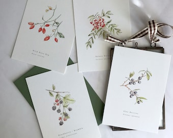 May include: Four botanical art greeting cards with watercolour illustrations of berries and plants. The cards feature text: "Wild Rose Hip", "Rowan Berries", "Blackberry / Bramble", and "Sloe Berries". Each card has a different botanical illustration.
