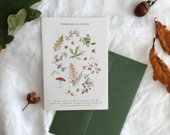 Autumn Things Greetings Card, with botanical traditional illustrations of woodland treasures, acorns, conkers, toadstools