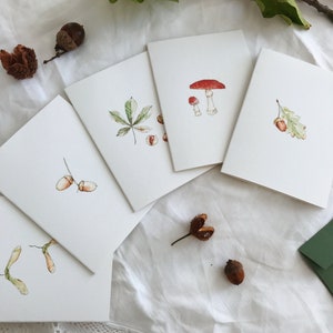 Autumn Seasonal Mini Greetings Card Set, with Botanical Woodland Illustrations. Waldorf steiner home school resources Autumn Fall image 4