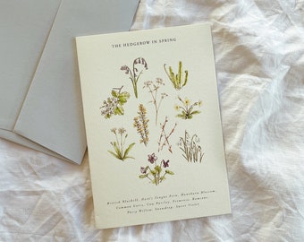Spring Flowers Botanical Watercolour nature Illustration Wildflower Seasonal Luxury Greetings Card l Print