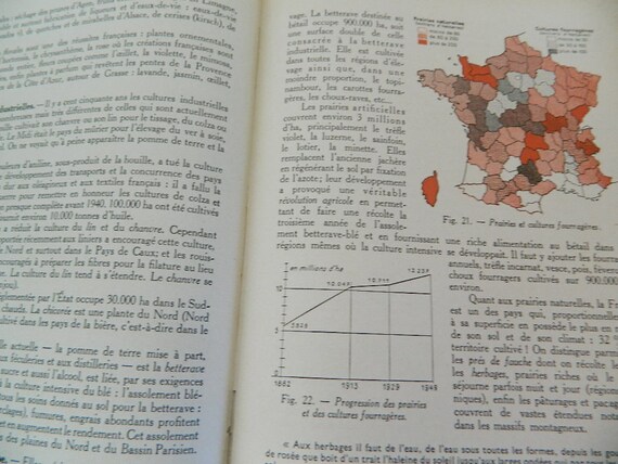 Book Course Geography
