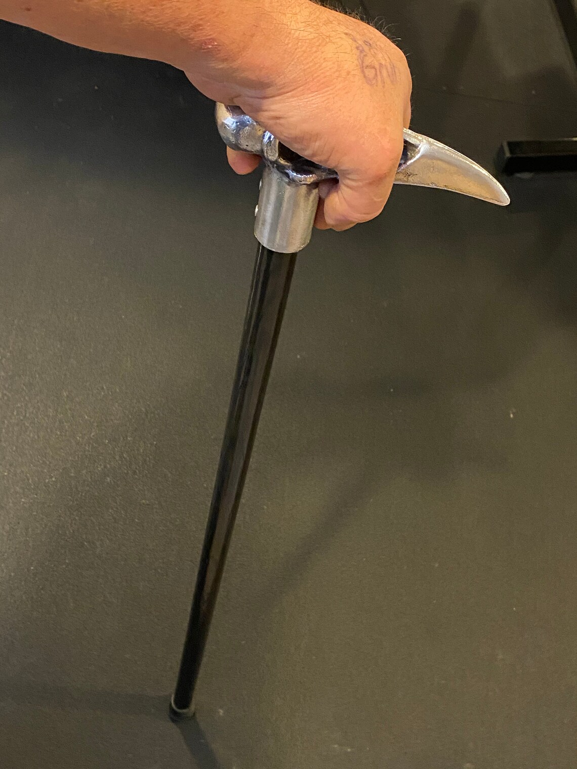 Raven Skull Cane Etsy