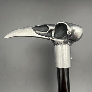 Raven skull cane image 1