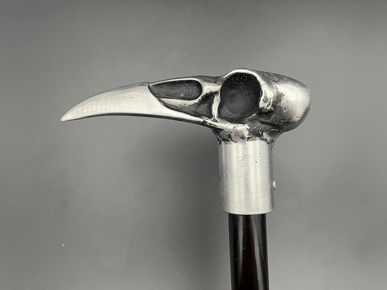 Raven skull cane image 1
