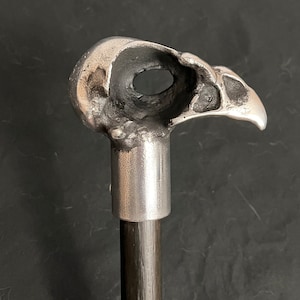 Hawk Skull Cane