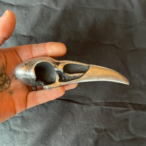Large Raven Skull Sculpture